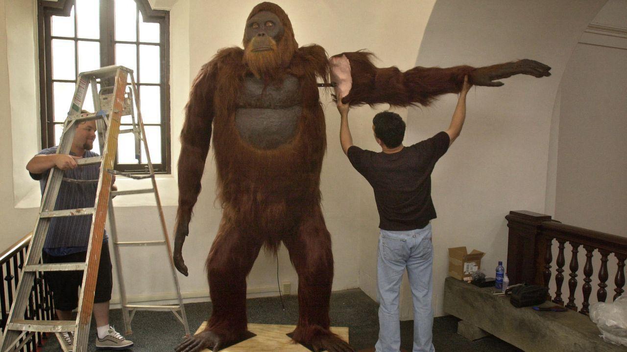 Due uomini sono in piedi accanto a una replica di una grande scimmia dal pelo arancione, alta, in un museo.