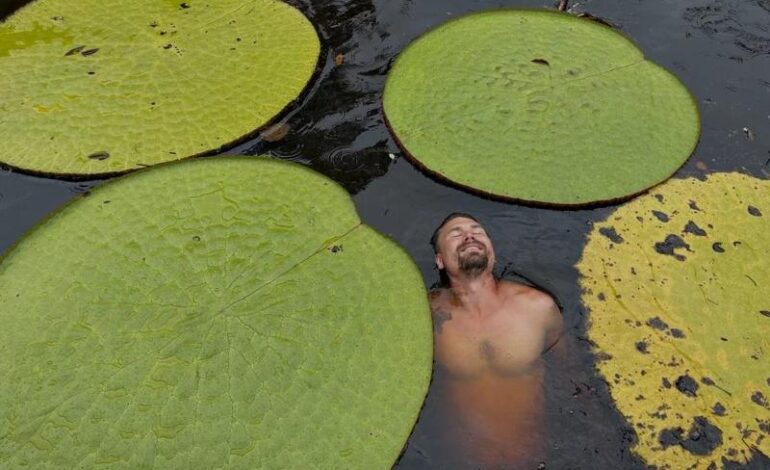 Una foto su Instagram svela una rara ninfea gigante