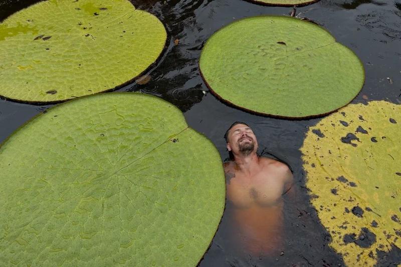 Una foto su Instagram svela una rara ninfea gigante