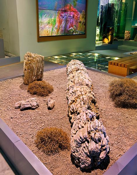 None lesvos-petrified-forest-takes-you-back-20-million-years2