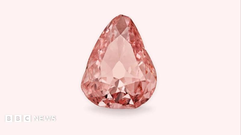 Diamante rosa rubato, il morso a una mela lo fece ritrovare