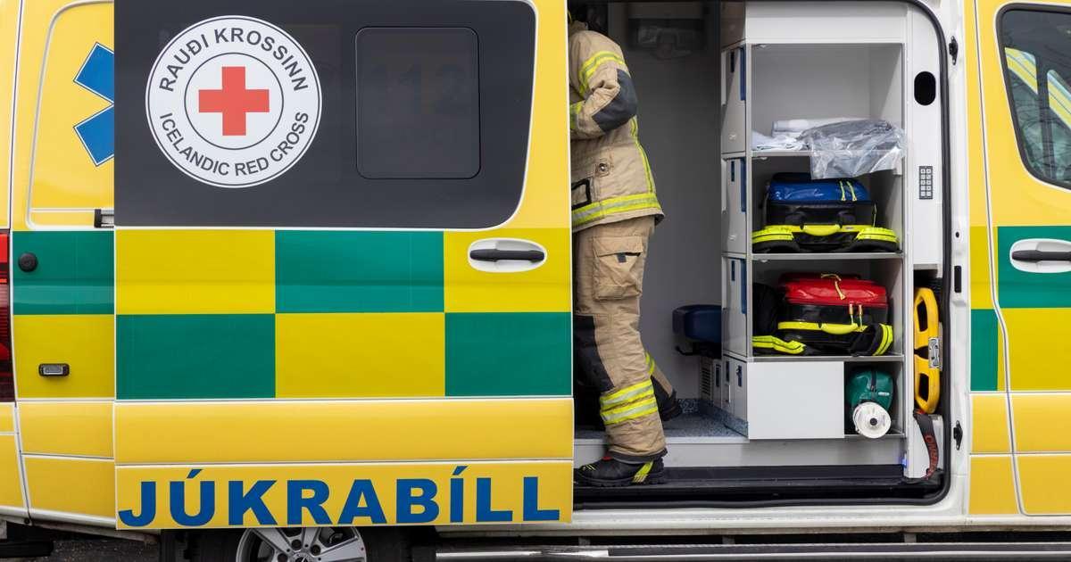 Parto in ambulanza e gatto salvo dopo una caduta dal 9° piano