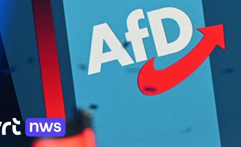 AfD, rubati 280 gigabyte di e-mail e documenti interni