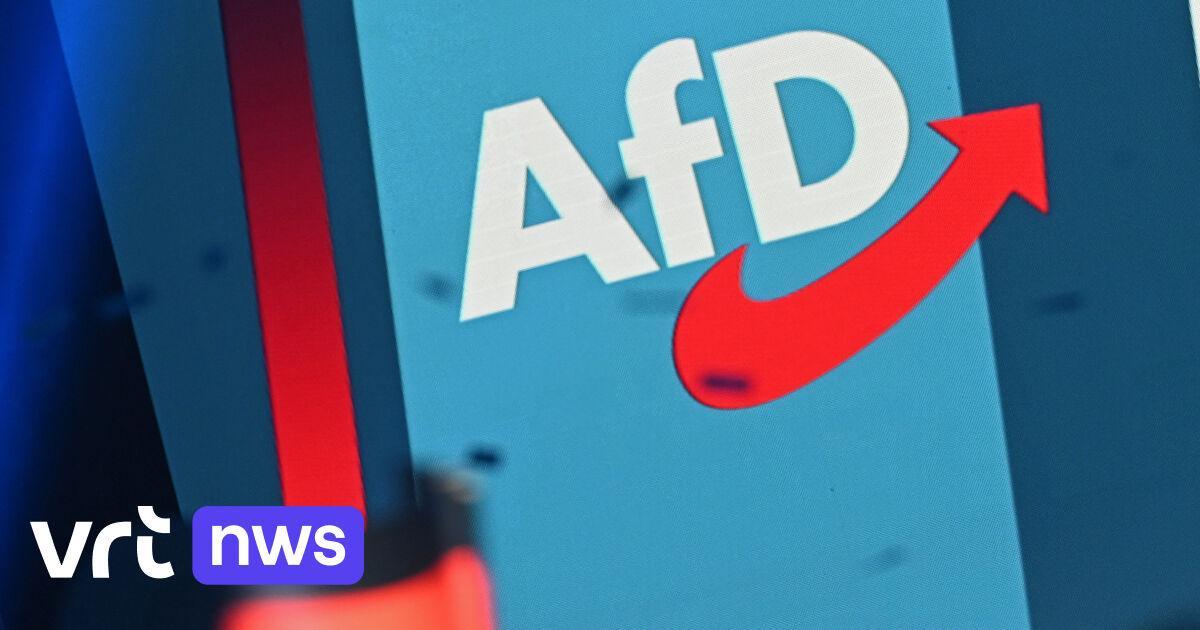 AfD, rubati 280 gigabyte di e-mail e documenti interni