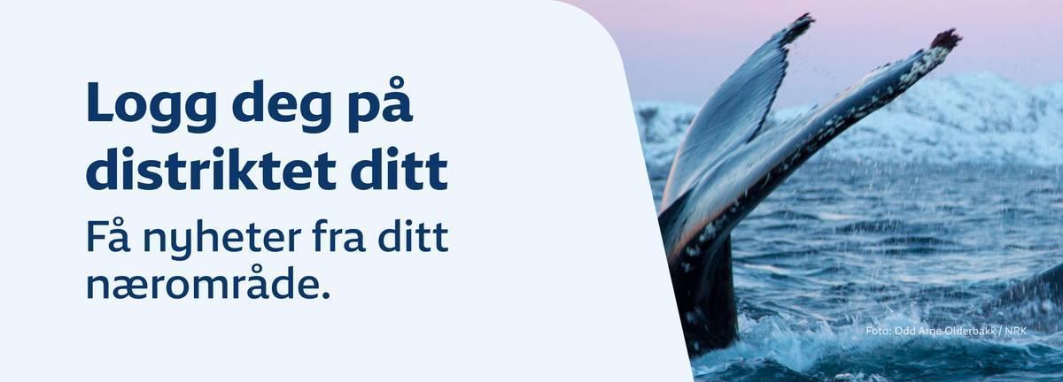 Foto: Odd Arne Olderbakk Invito ad accedere ai servizi di NRK