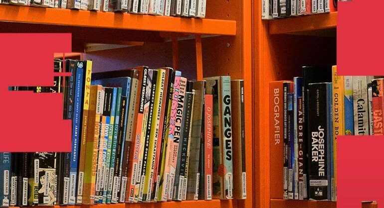Dark romance, biblioteca segnala ai servizi sociali il prestito