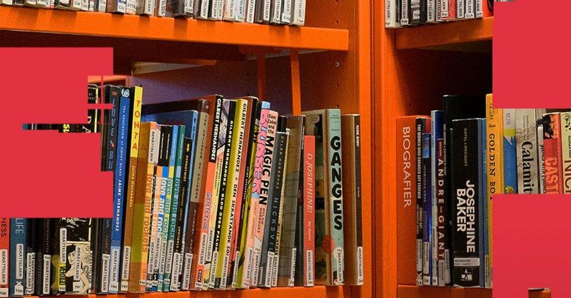 Dark romance, biblioteca segnala ai servizi sociali il prestito