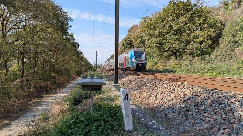 Treni e animali: il sistema di luci e suoni riduce gli scontri