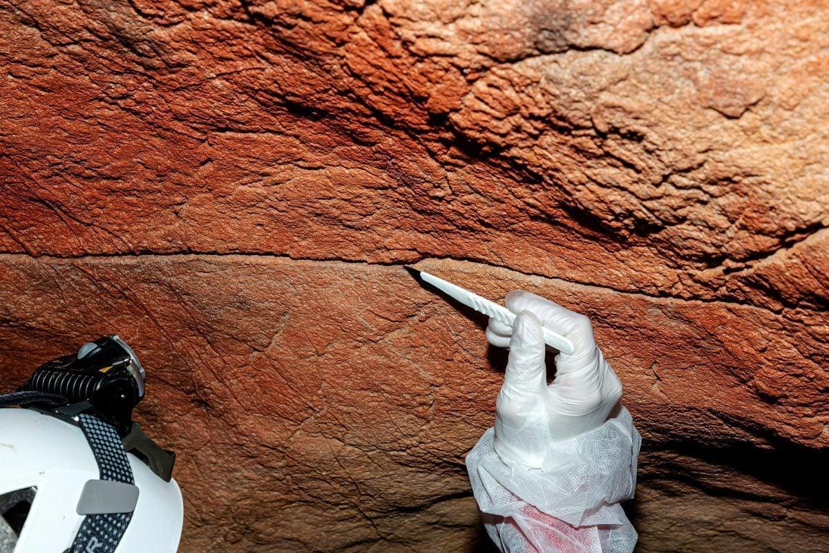 DNA umano antico sulle pareti delle grotte: la scoperta inattesa