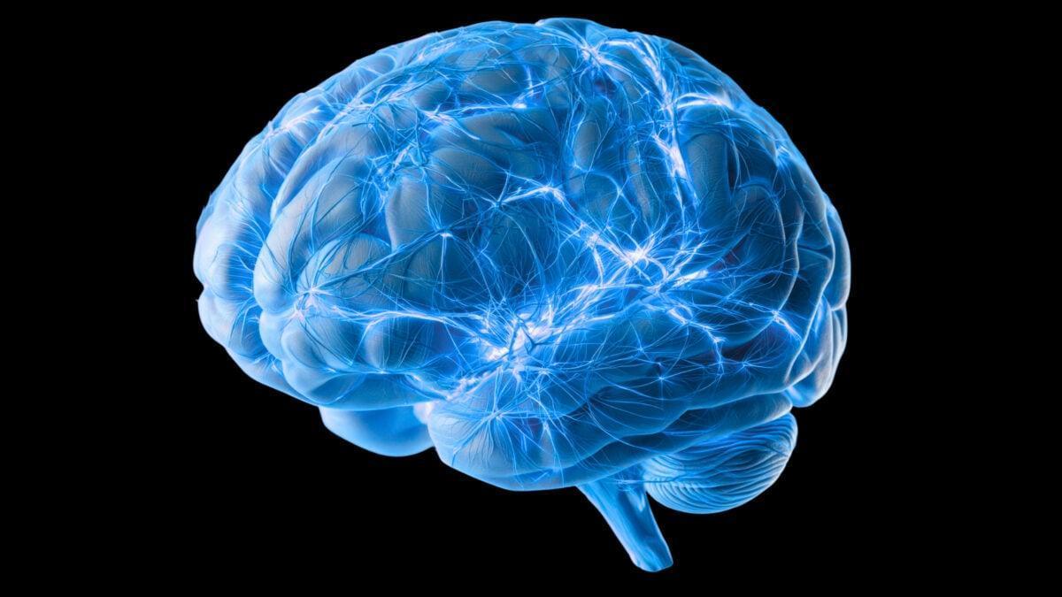 Nel 2026 stiamo ancora scoprendo come il cervello elimina i suoi rifiuti. Gli scienziati hanno appena trovato un tassello mancante.
