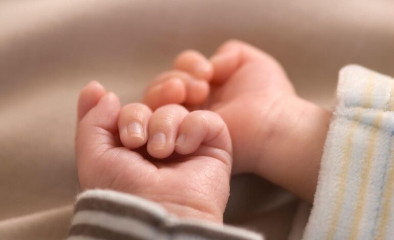 Gemelli rapiti a 5 mesi: ritrovati dopo 24 giorni