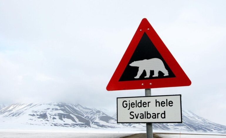 Orsi polari e porte aperte: la vita estrema alle Svalbard