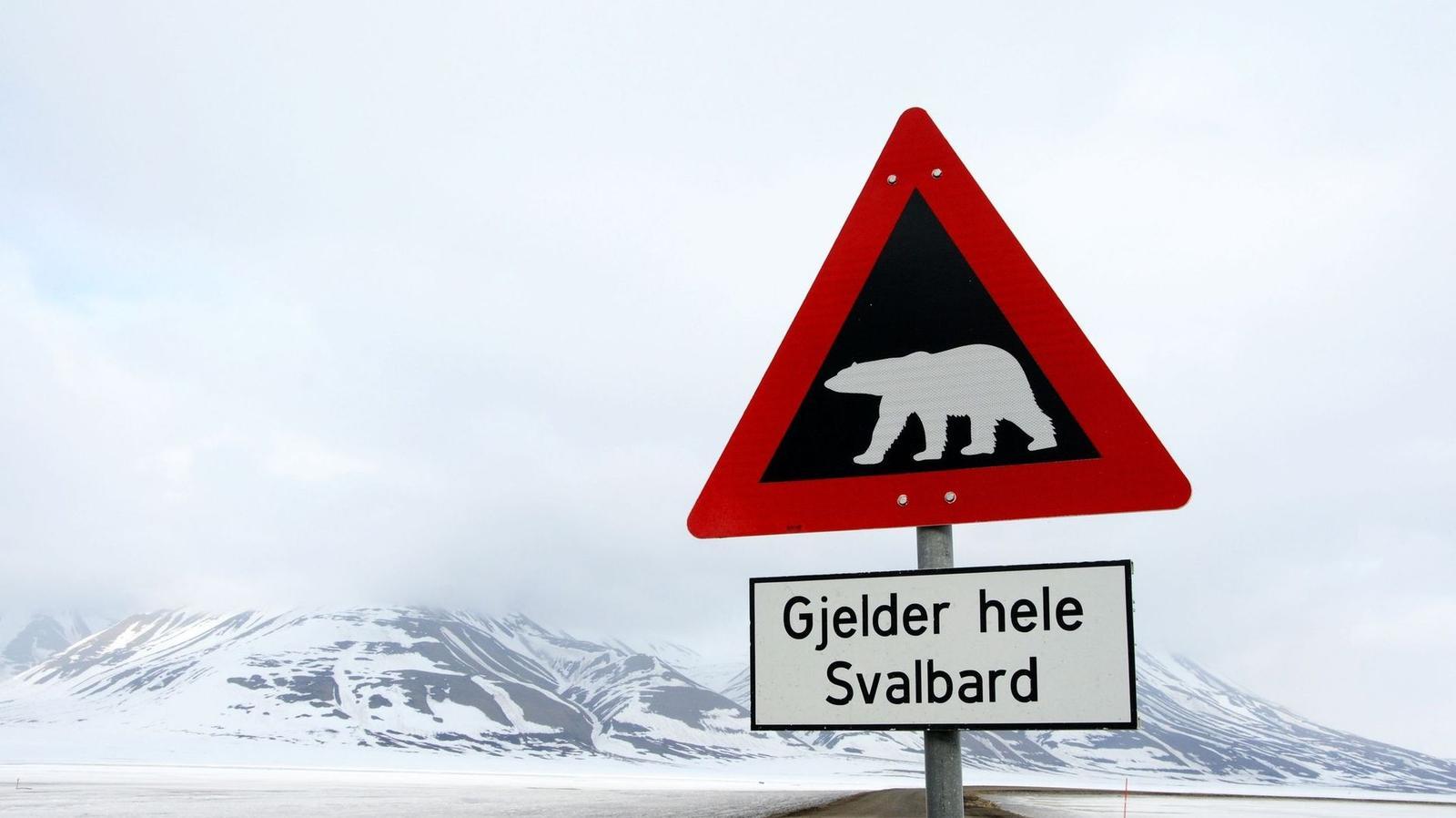 Orsi polari e porte aperte: la vita estrema alle Svalbard