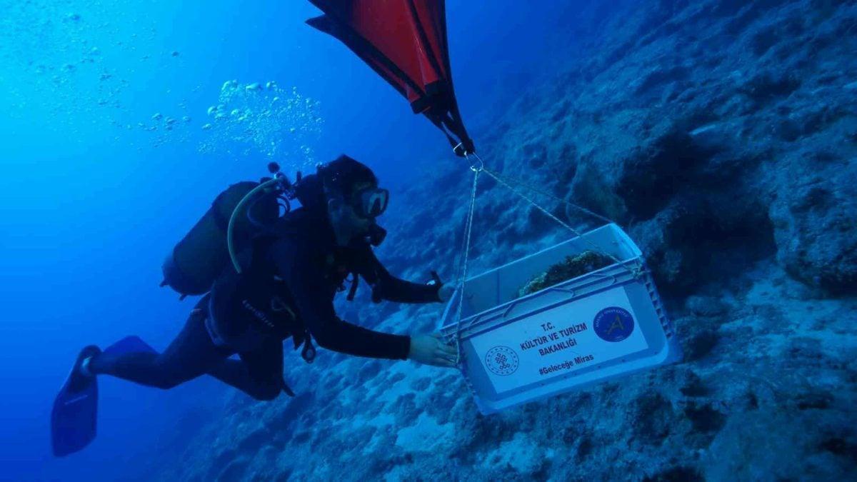 Relitto di 4.500 anni: le giare possono svelare i carichi