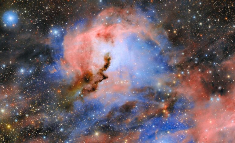 Nebulosa Gabbiano, un occhio blu fissa la Terra