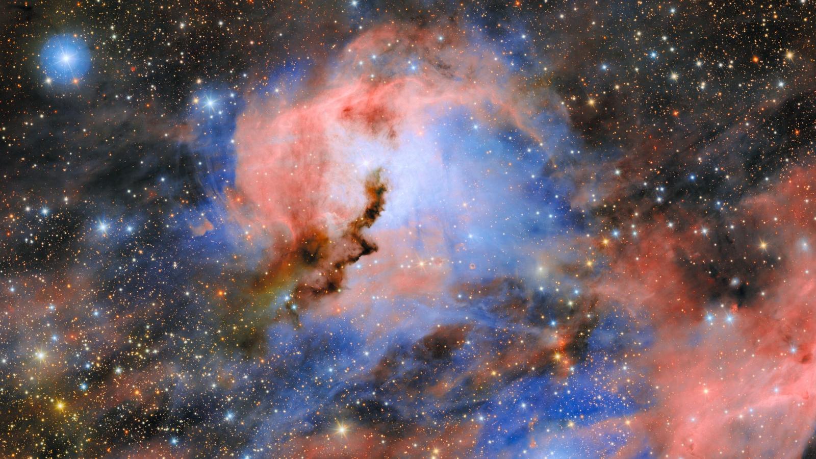 Nebulosa Gabbiano, un occhio blu fissa la Terra