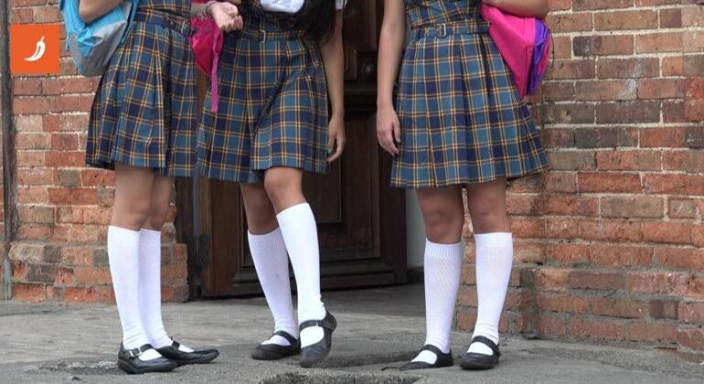 Uniformi scolastiche nei porno: la petizione delle studentesse