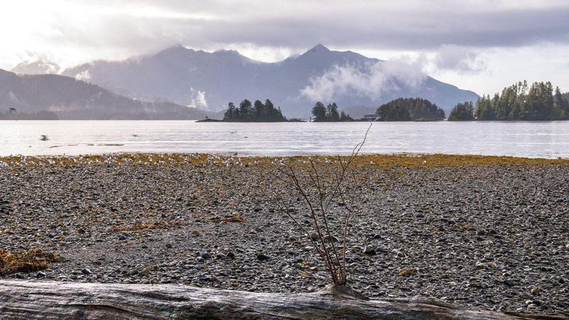 Veduta di un lago con una riva ghiaiosa in primo piano.