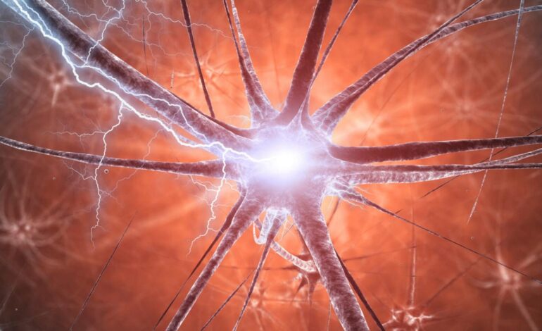 Rotenone, nei topi i danni motori si attenuano senza cure