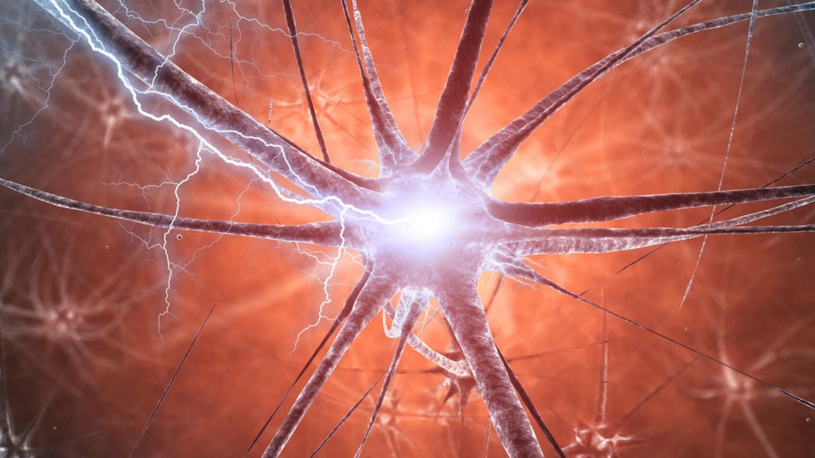 Rotenone, nei topi i danni motori si attenuano senza cure