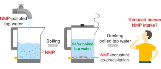 None Grafica che illustra come rimuovere le NMP facendo bollire l’acqua